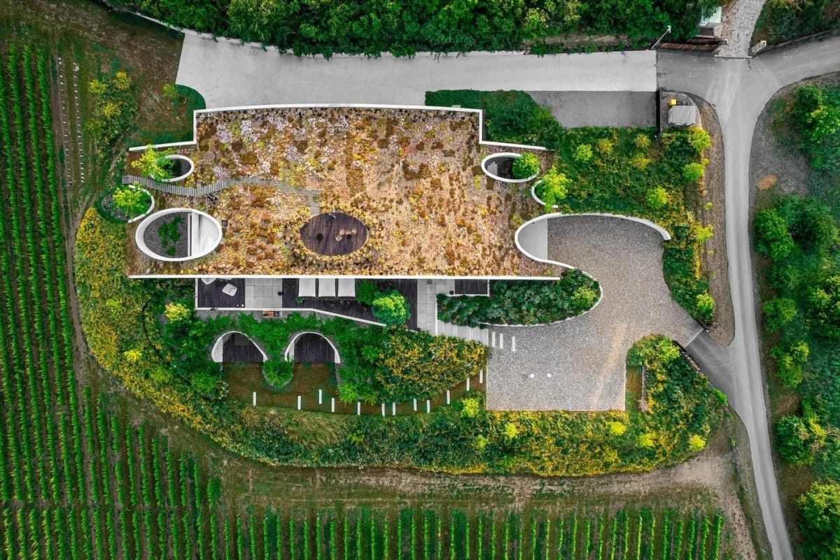 Vinařství Gurdau architektura, foto 6