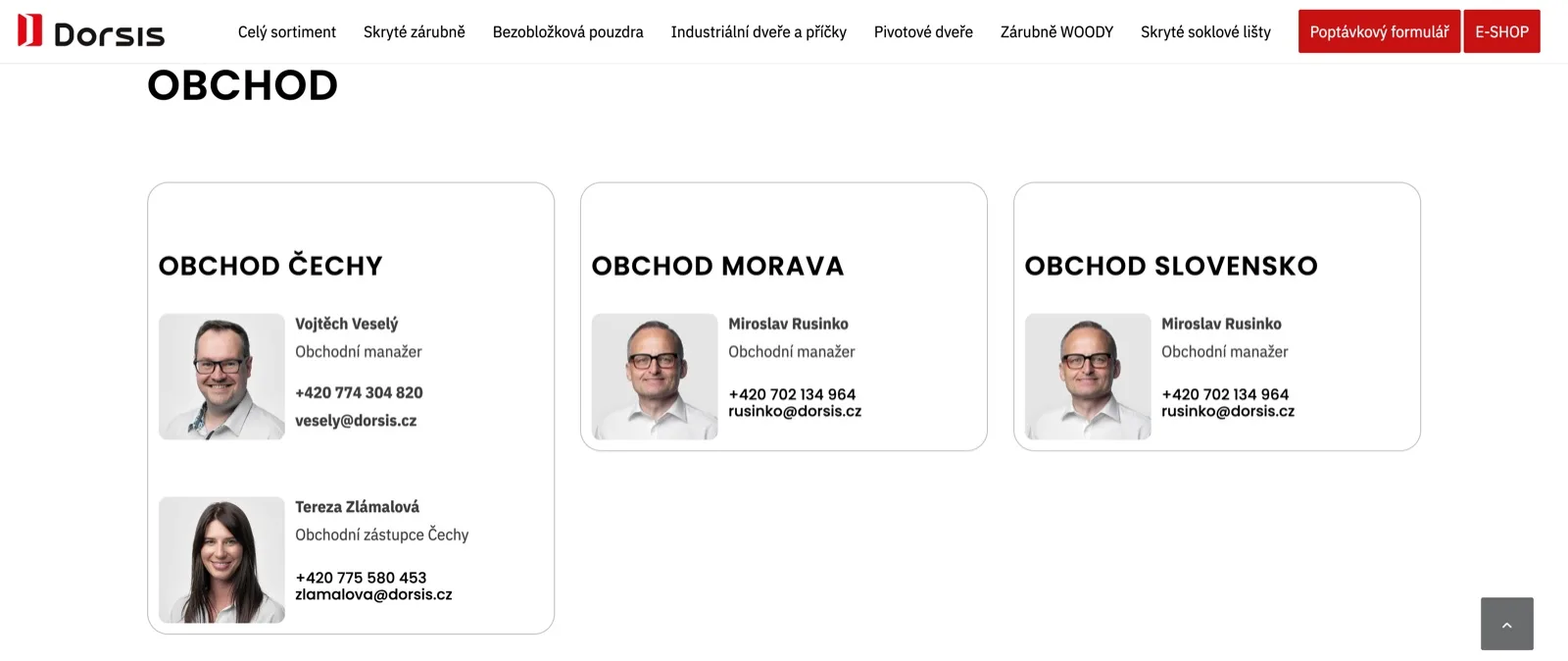 Business portrait — Dorsis website mockup