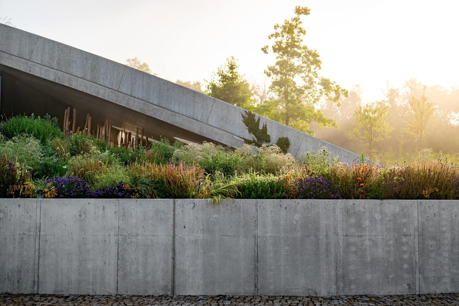 Vinařství Gurdau architektura, foto 4