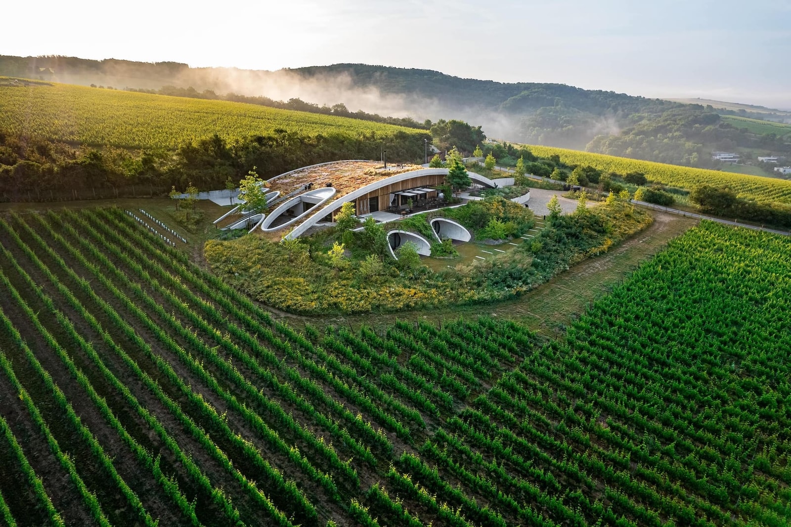 Vinařství Gurdau architektura, foto 10