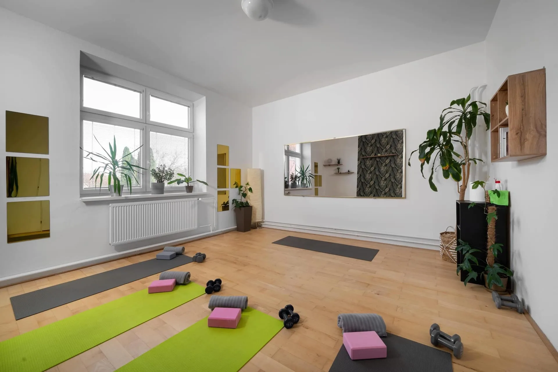 Fyzioterapie srdcem, photo 17