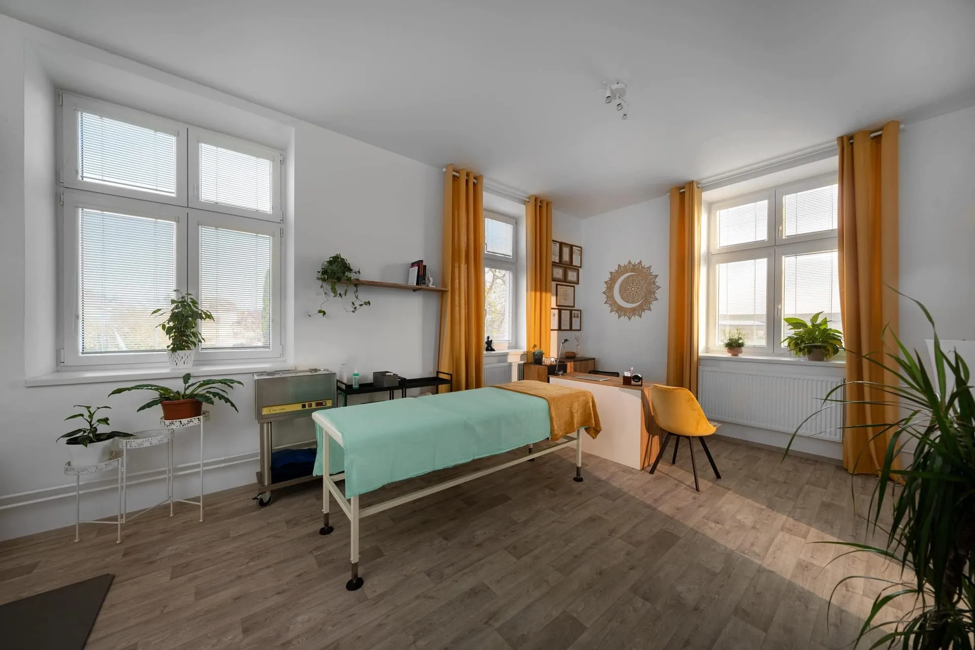 Fyzioterapie srdcem, photo 20