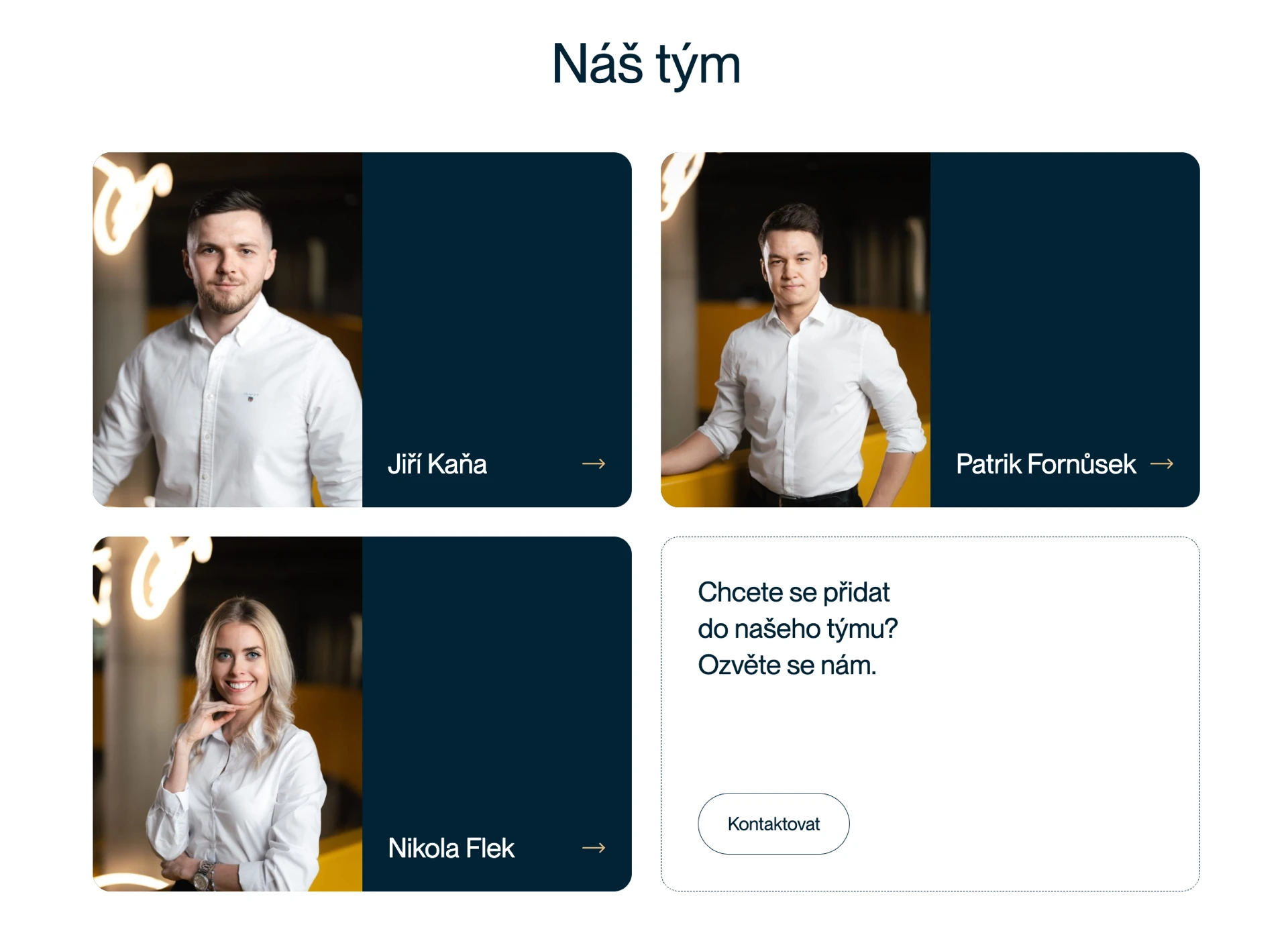 Týmová prezentace na webu