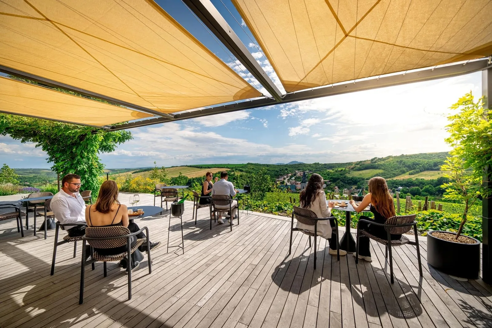 Vinařství Gurdau, photo 18